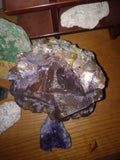 Phantom Yellow/Purple Fluorite